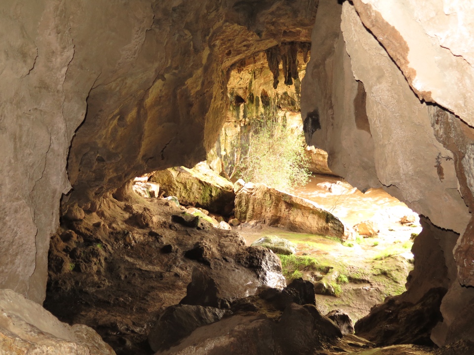 Borenore cave exit
